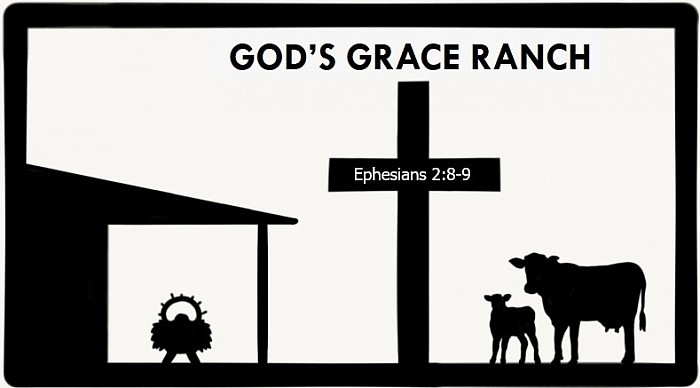 GGR God's Grace Mini Miniature Cattle Ranch Weatherford Texas